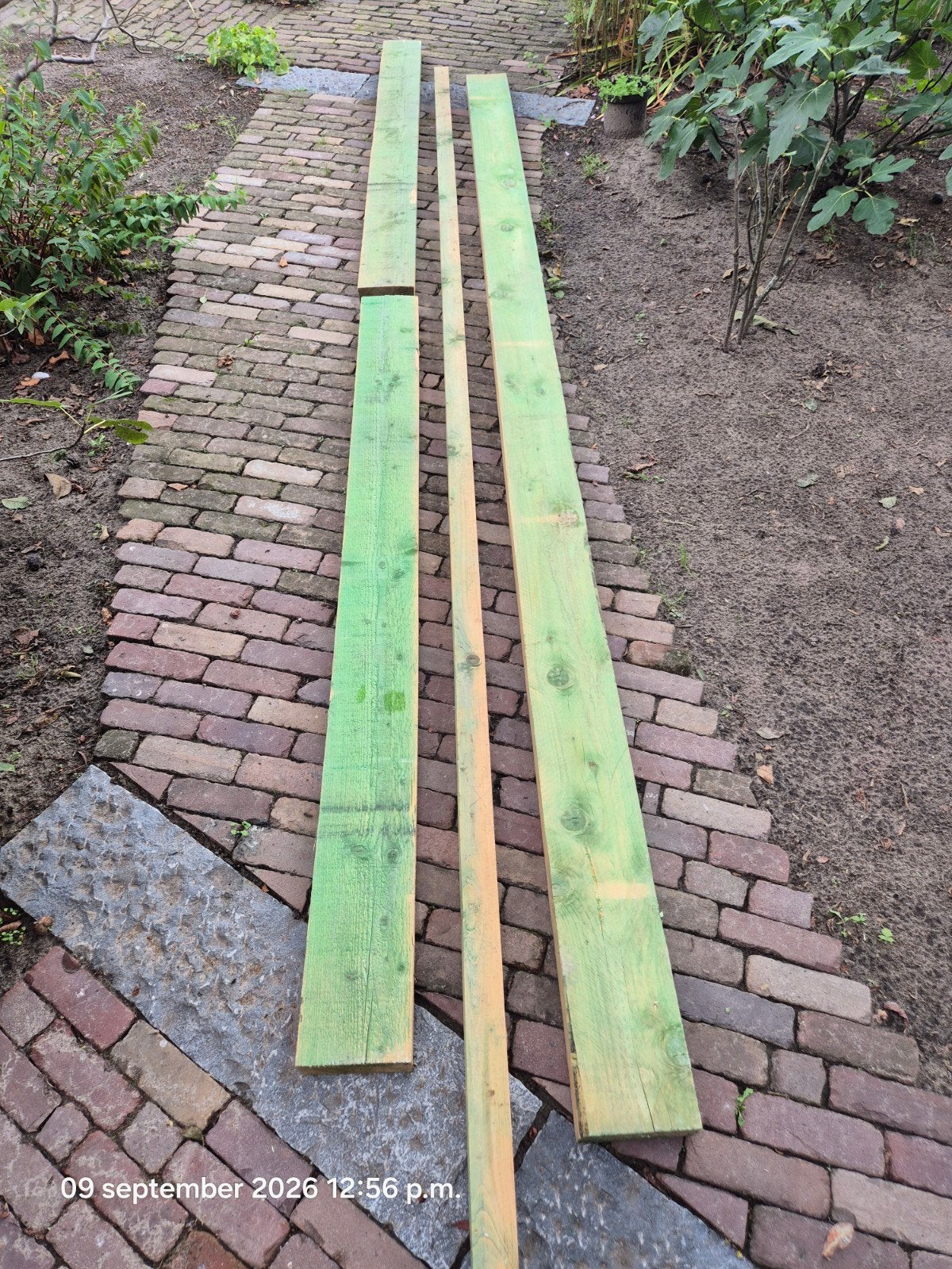 Gordingen( Juffers)  en keper, Enlèvement, Neuf, Bois