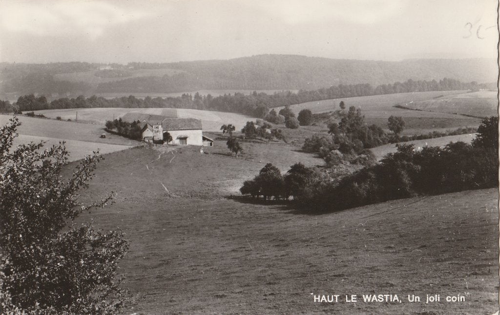 HAUT  LE  WASTIA -  Een mooi Hoekje, Ophalen of Verzenden, Ongelopen, Namen
