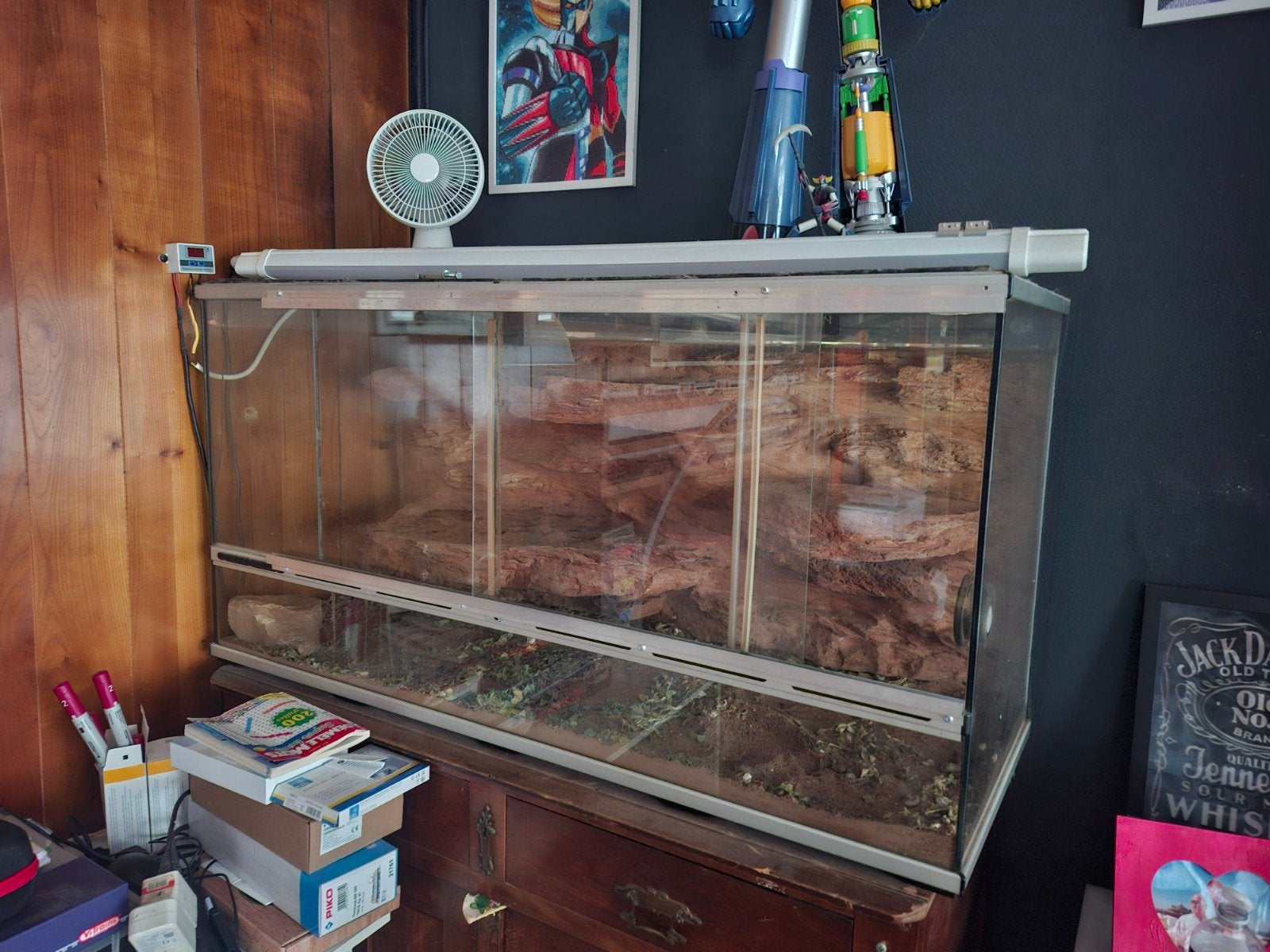 terrerium, Enlèvement, Utilisé, Terrarium ou Paludarium