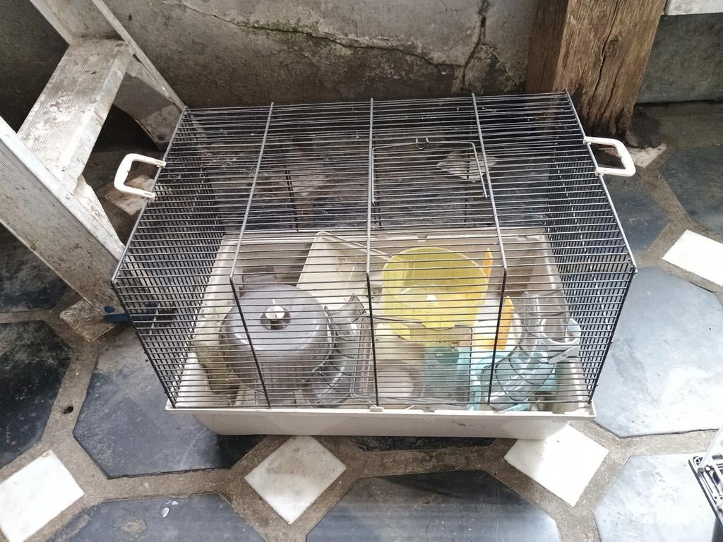 Petite cage hamster a nettoyer, Dieren en Toebehoren, Ophalen, Gebruikt, Kooi, Hamster