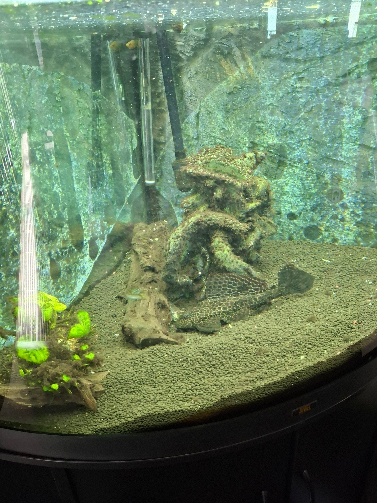 A vendre AQUARIUM DE COIN COMPLET, Enlèvement, Pompe