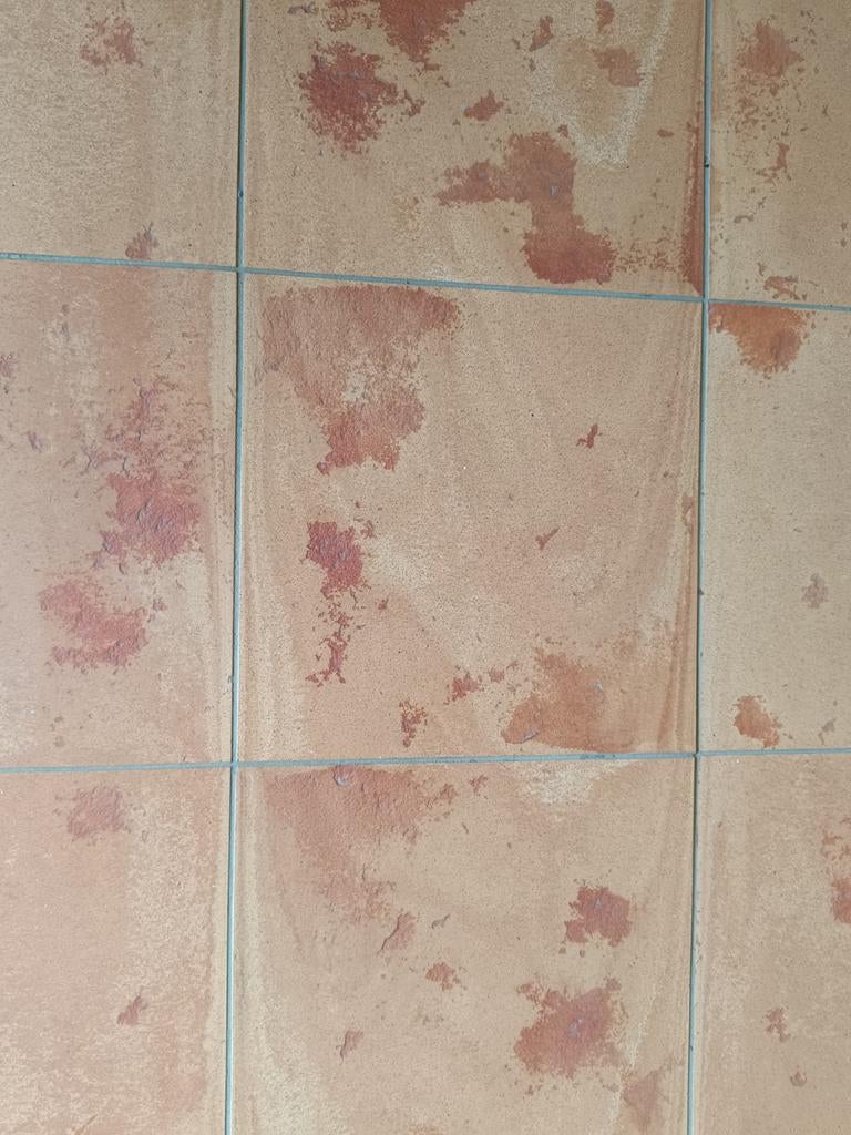 Gebrande vloertegels vintage, Doe-het-zelf en Bouw, Ophalen, Vloertegels