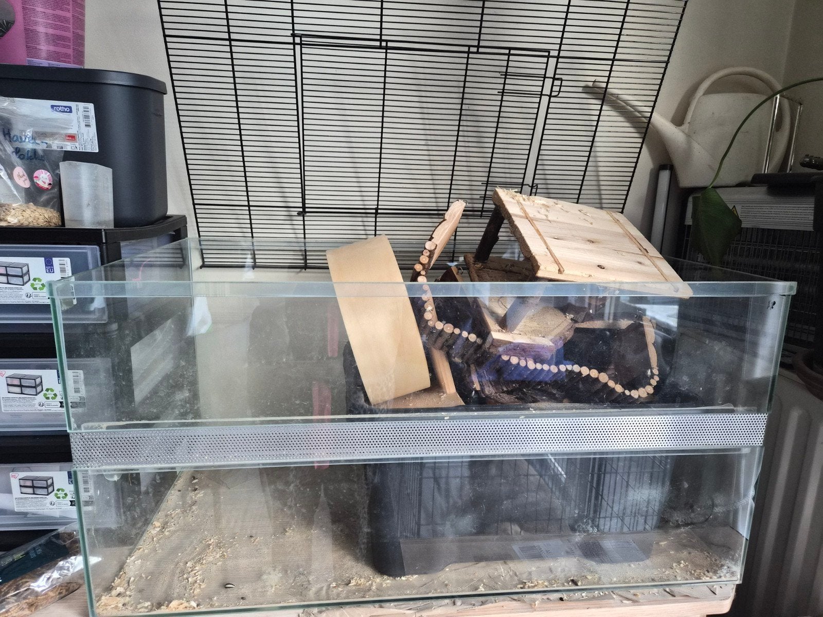 hamsterkooi en toebehoren, Dieren en Toebehoren, Ophalen, Terrarium of Paludarium