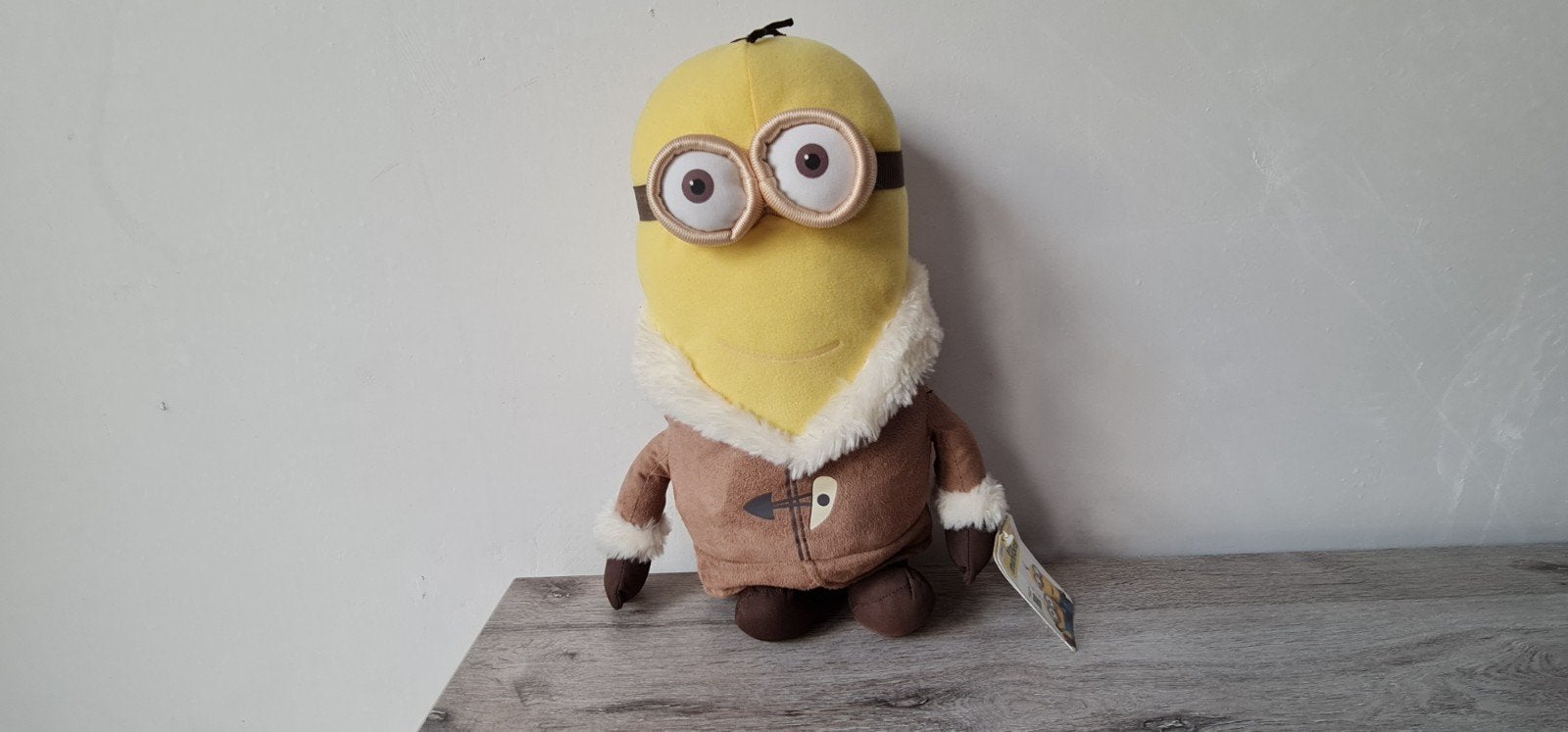 Minion, Animaux & Accessoires