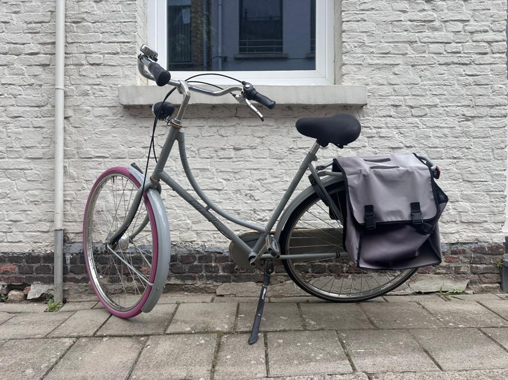 Fiets Gazelle te koop, Fietsen en Brommers, Fietsen | Dames | Omafietsen, Ophalen, Gebruikt