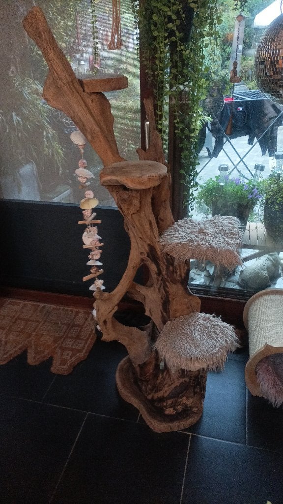 Arbre a plante ou pour chat, Enlèvement, Comme neuf, Bois