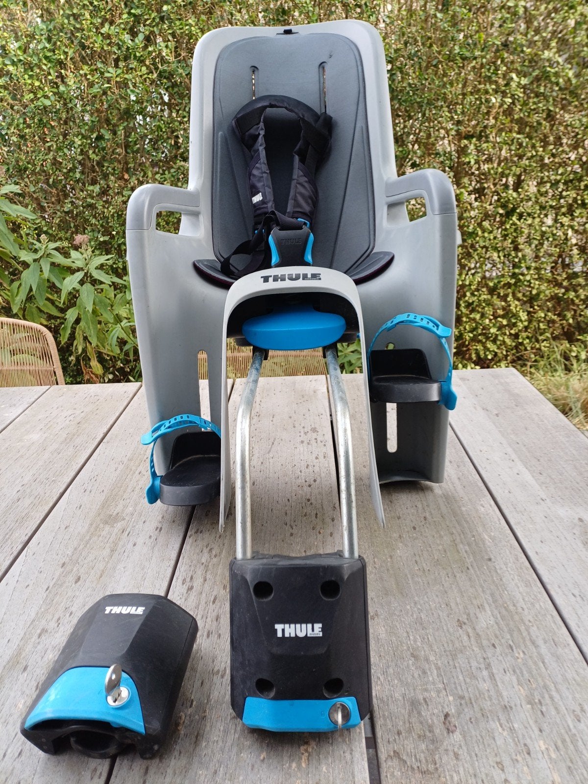 Fietszitje Thule RideAlong, Fietsen en Brommers, Fietsaccessoires | Fietsstoeltjes, Ophalen, Achterzitje, 0 t/m 18 kg, Thule