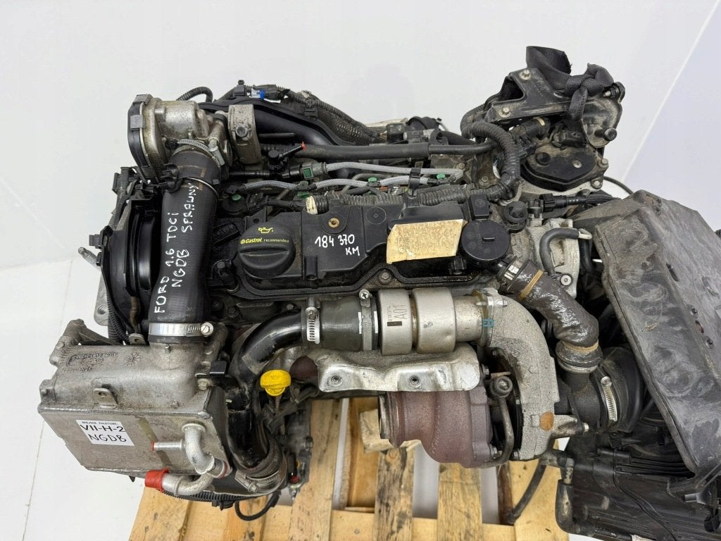 Moteur NGDB Complet FORD FOCUS, Envoi, Utilisé, Daihatsu