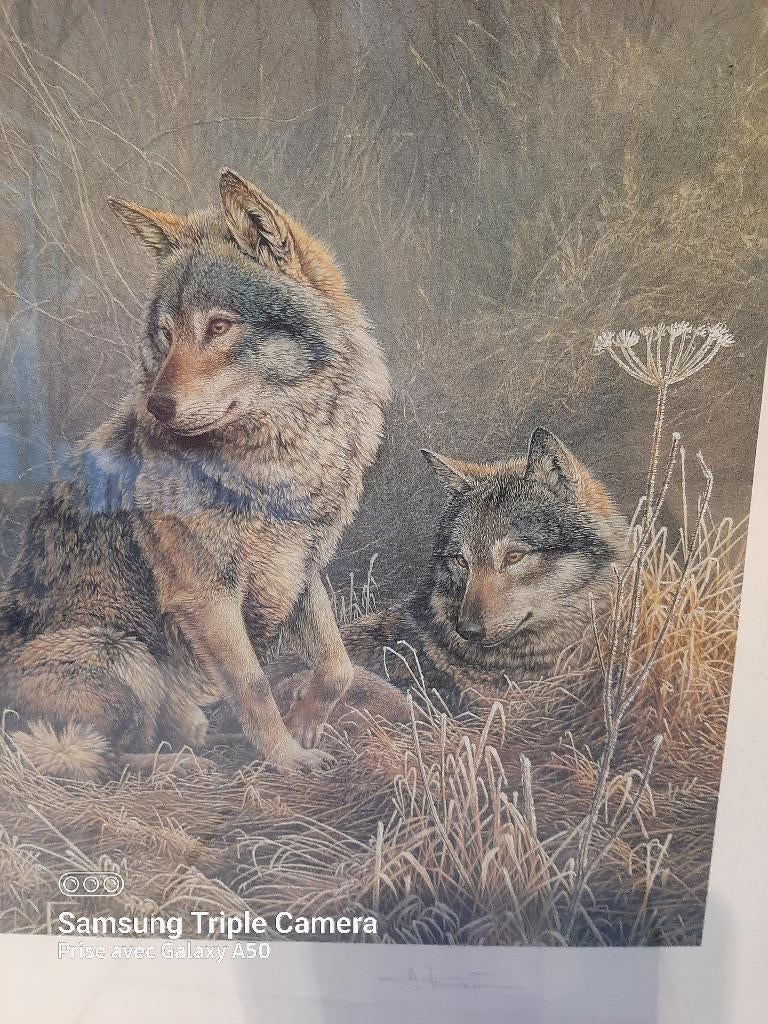 Litho de André Buzin, les loups., Antiquités & Art, Enlèvement