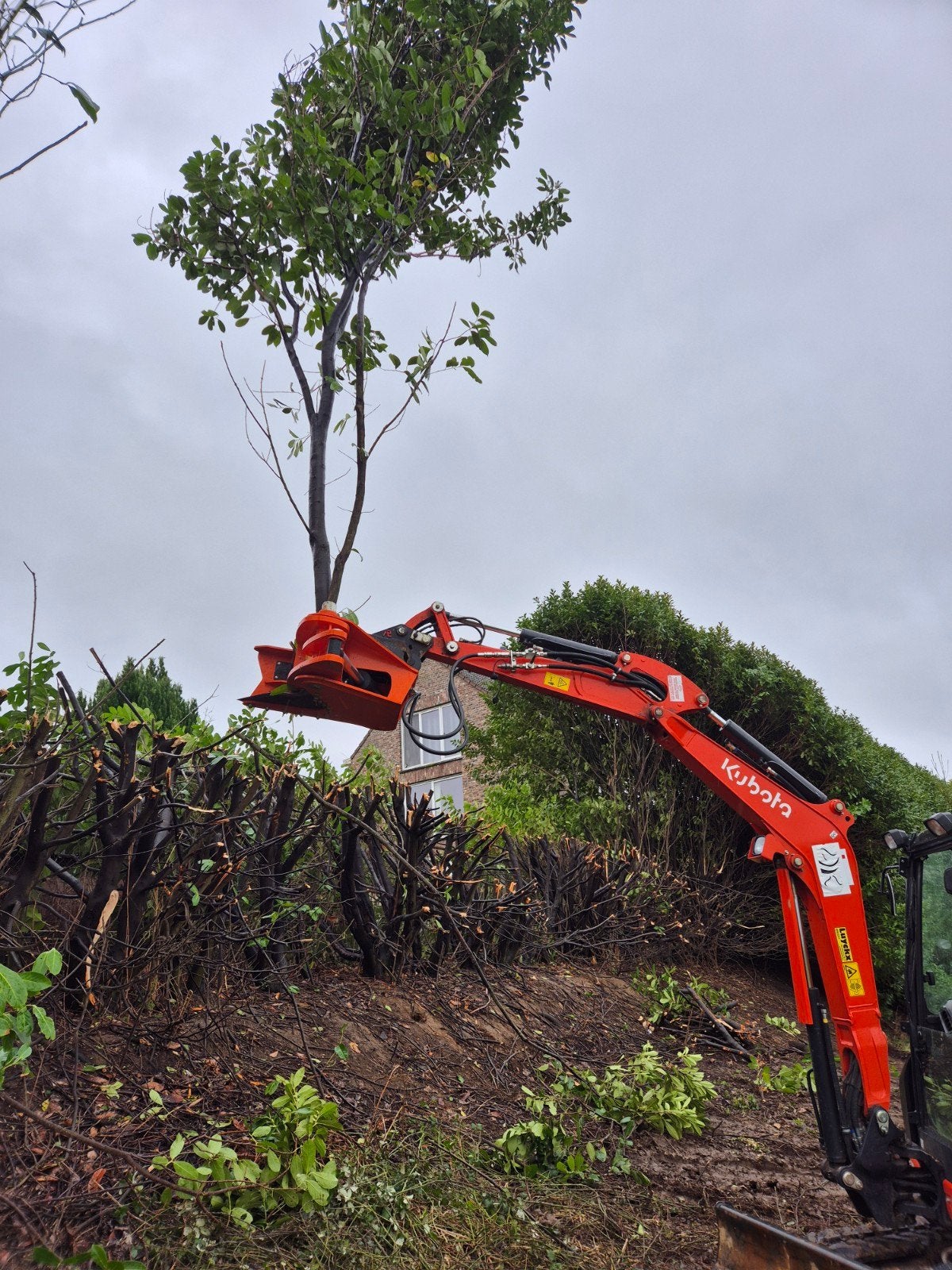 Hagen & Bomen rooien/ Machinaal knippen/ Terrein opkuis, Tuin en Terras, Ophalen of Verzenden