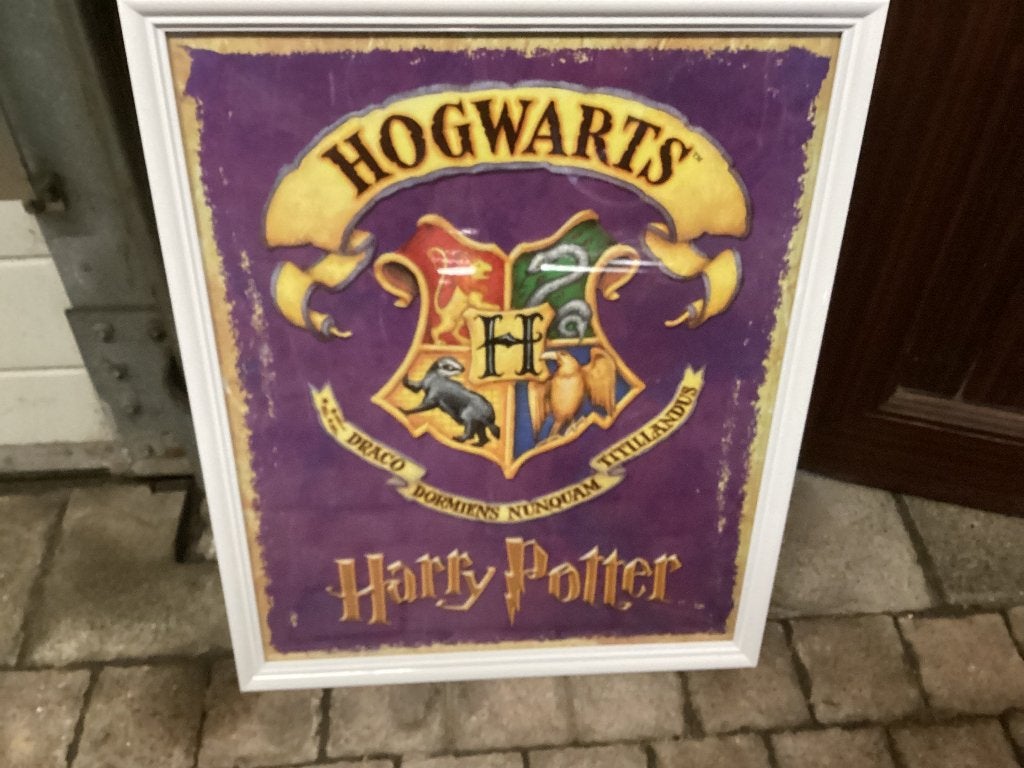 Prent Harry Potter, Verzamelen, Harry Potter, Ophalen, Gebruikt