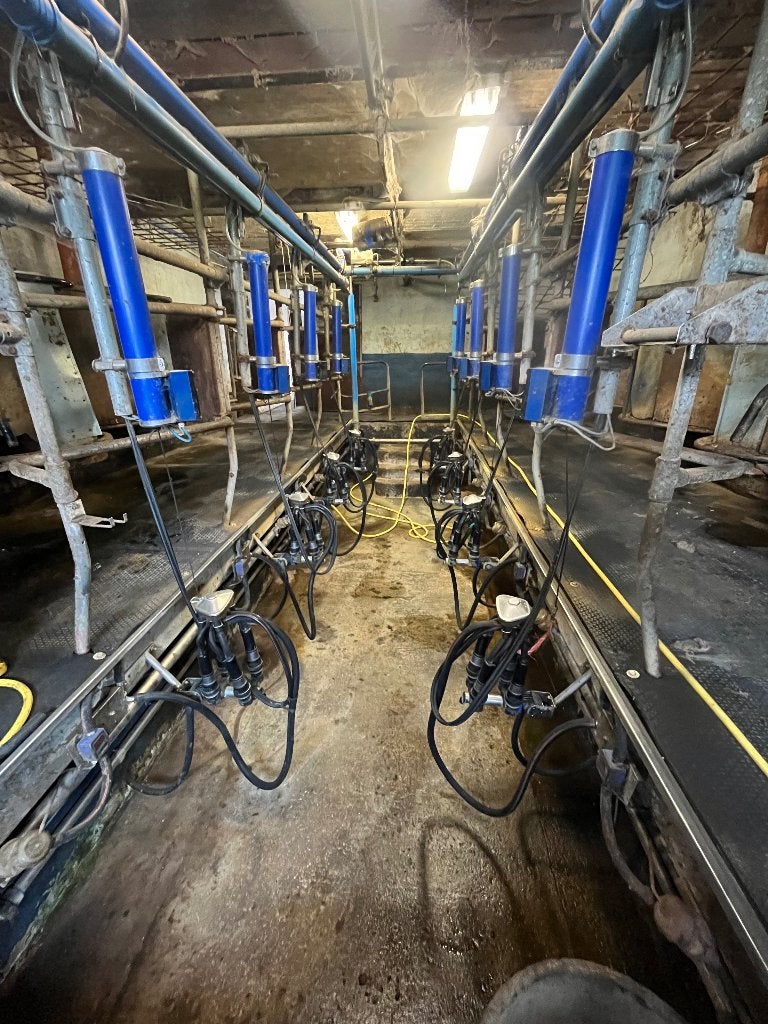 Melkinstallatie delaval visgraat, Geslacht onbekend, 11 jaar of ouder