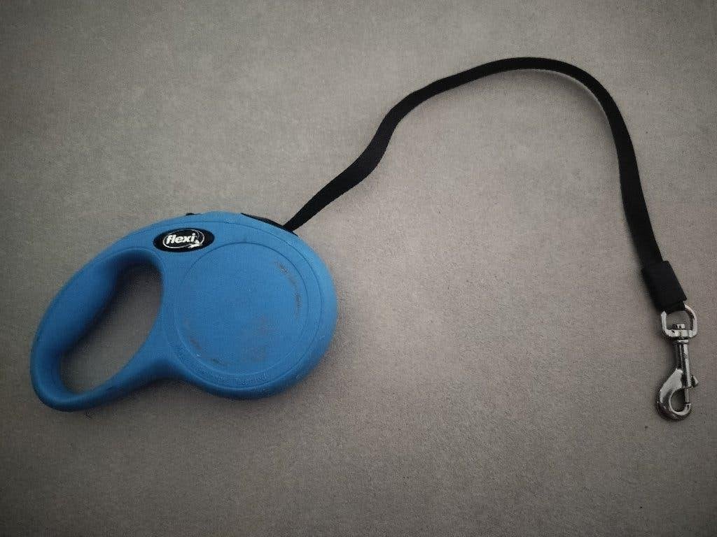 Flexi rollijn, XS | 3M, Dieren en Toebehoren, Hondenriemen, Ophalen of Verzenden