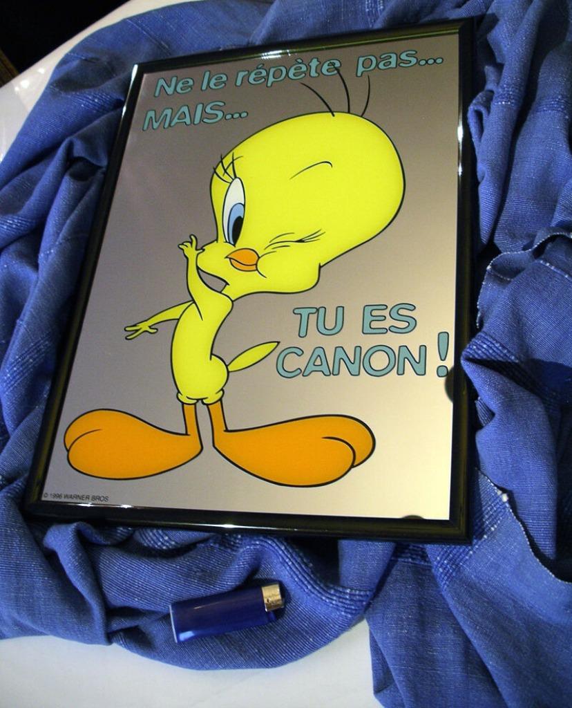 Grand Miroir Looney Tunes - Titi -Tweety, Enlèvement, Looney Tunes, Comme neuf, Autres types