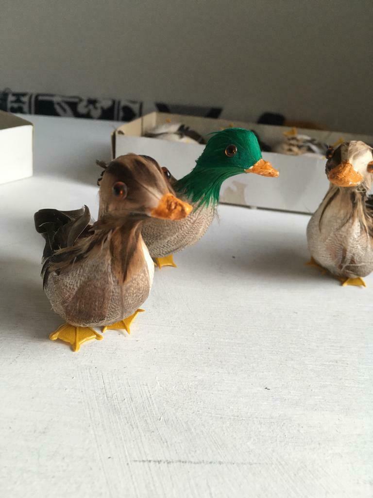 Lot van 12 eendjes, Hobby en Vrije tijd, Ophalen of Verzenden, Nieuw