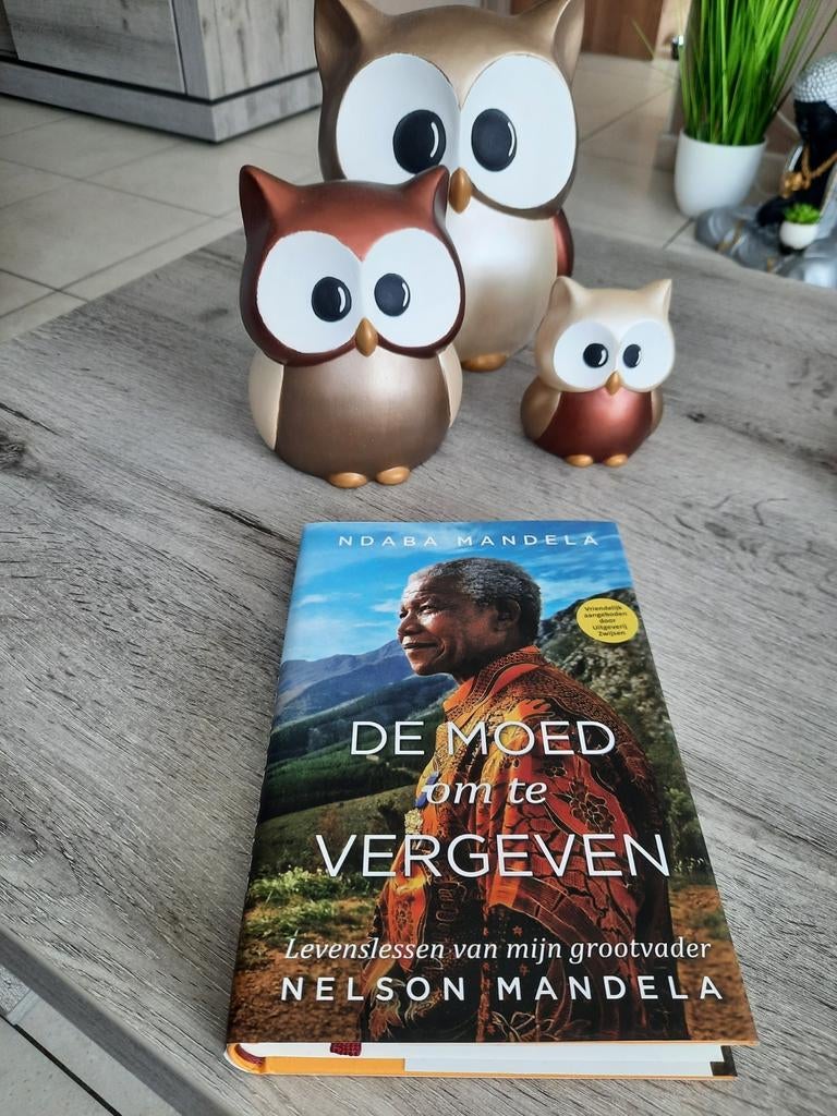 Ndaba mandela - de moed om te vergeven, Boeken, Ophalen of Verzenden, Nieuw