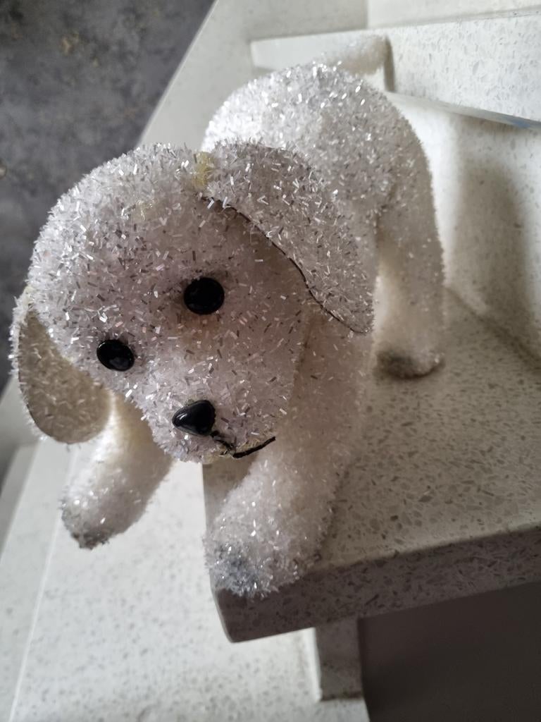Hondje, Ophalen