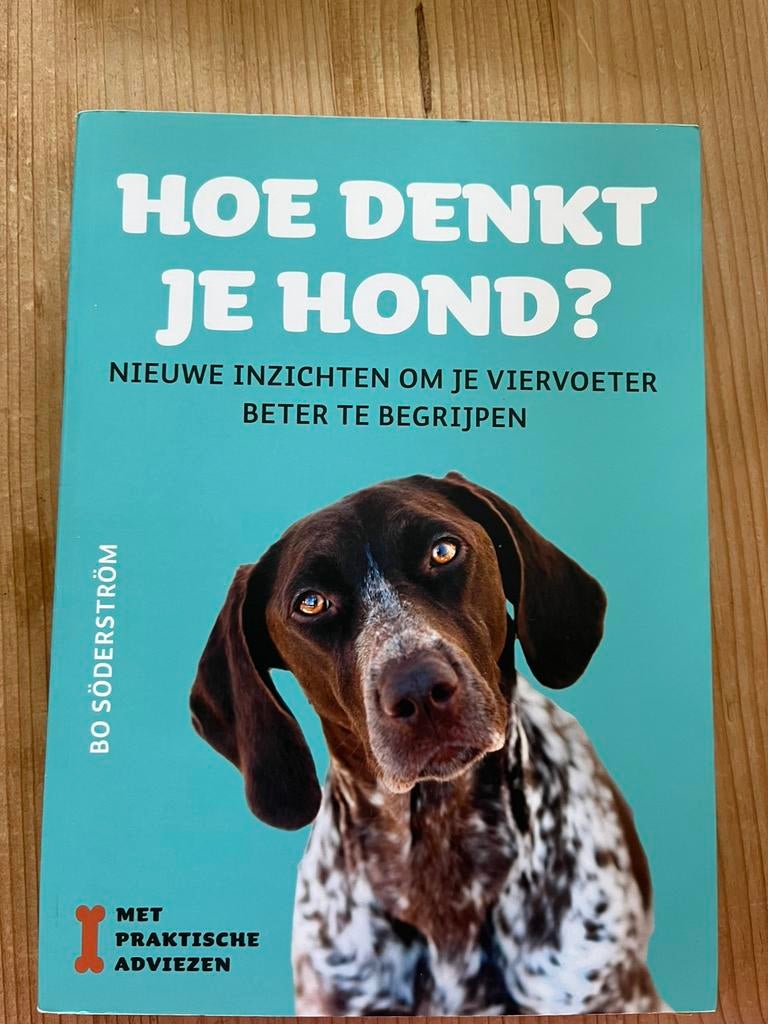 Bo Söderström - Hoe denkt je hond?, Livres, Animaux & Animaux domestiques, Comme neuf, Chiens, Enlèvement ou Envoi
