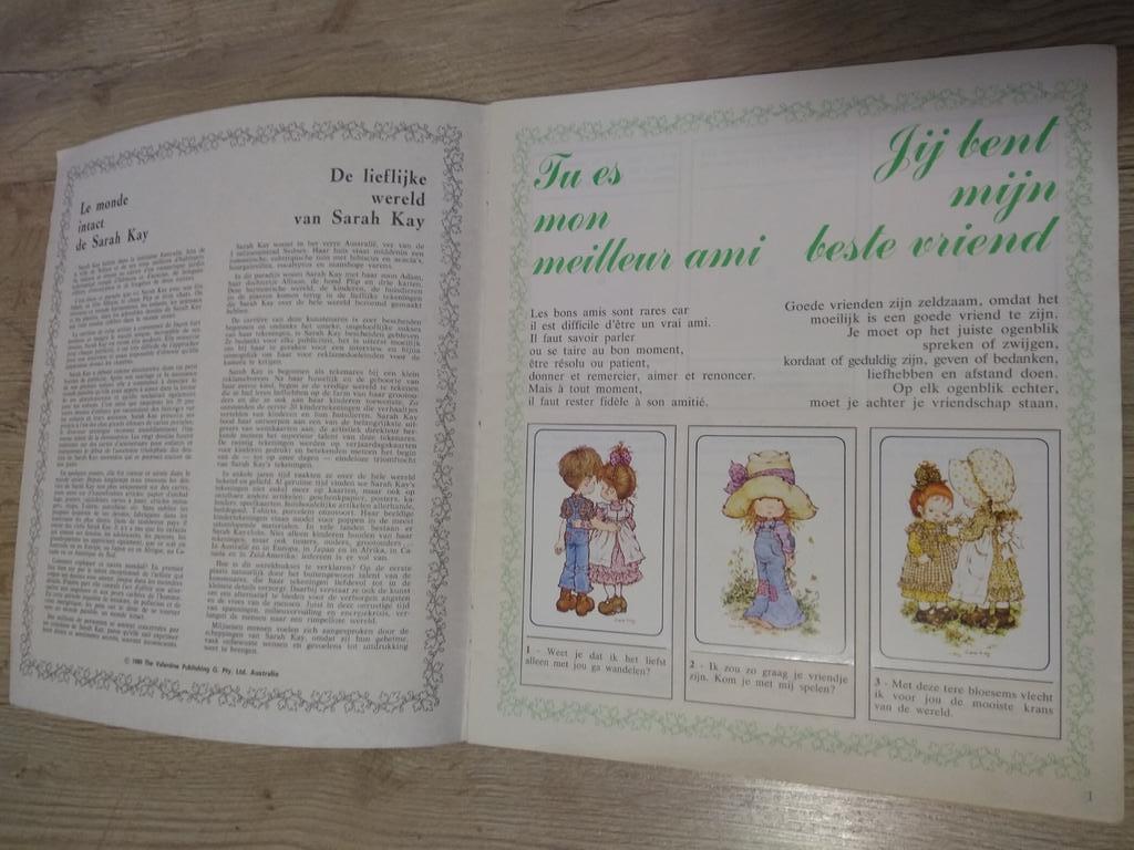 Vintage Panini album sarah kay compleet, Ophalen of Verzenden, Gebruikt
