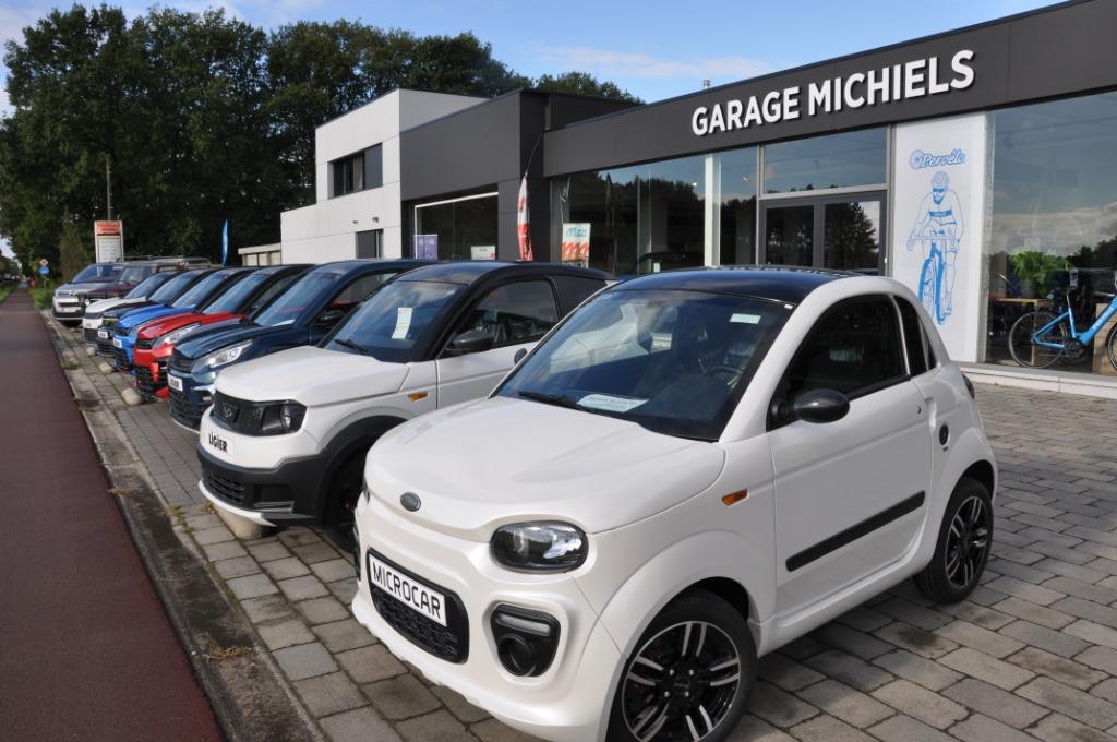 Ligier/Microcar, Overige kleuren, Bedrijf, Diesel, Te koop