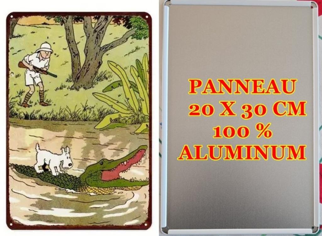 TINTIN AU CONGO, Collections, Envoi, Tintin