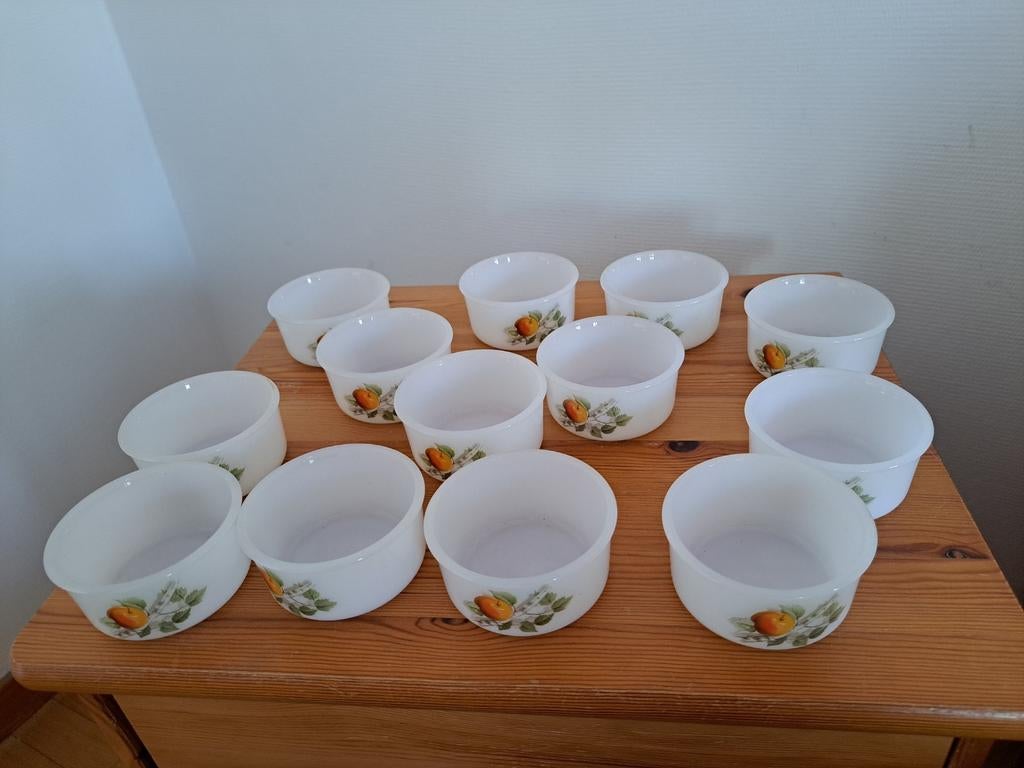 Acropal,vuurvaste ovenpotjes voor warme hapjes, Ophalen, Nieuw, Kop(pen) en/of Schotel(s)