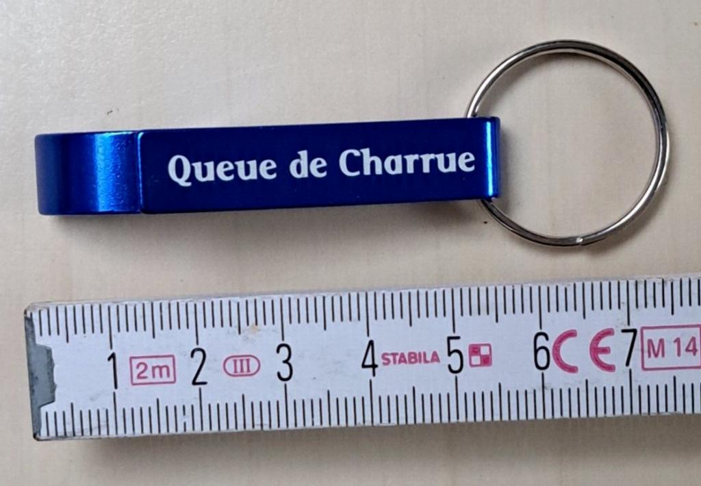 petit porte clé porte-clés décapsuleur Queue de Charrue, Collections, Enlèvement ou Envoi
