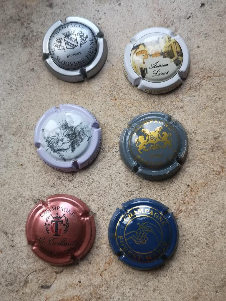 6 capsules de champagne, Collections, Enlèvement ou Envoi, Champagne