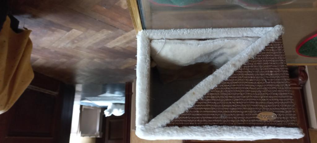 klein huis voor katten 20 euro, Ophalen, Gebruikt