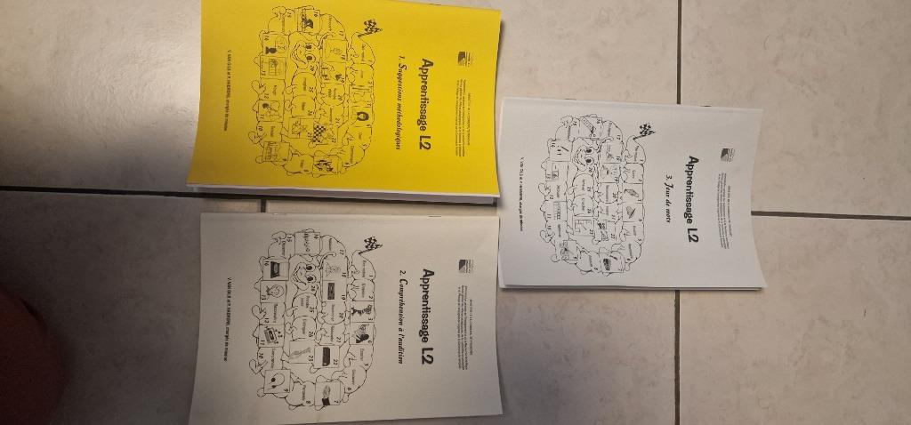 Manuel méthodologie scolaire néerlandais section primaire, Enlèvement, Comme neuf, Primaire, Néerlandais