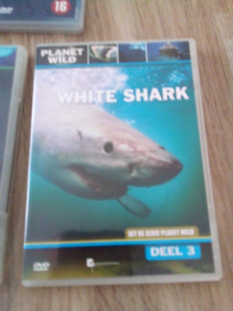 shark dvd, Ophalen of Verzenden, Nieuw in verpakking