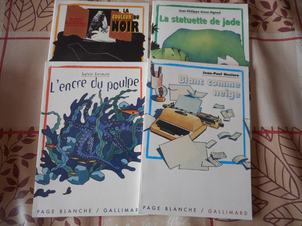 Collection page blanche / Gallimard, Livres, Romans, Utilisé, Enlèvement ou Envoi