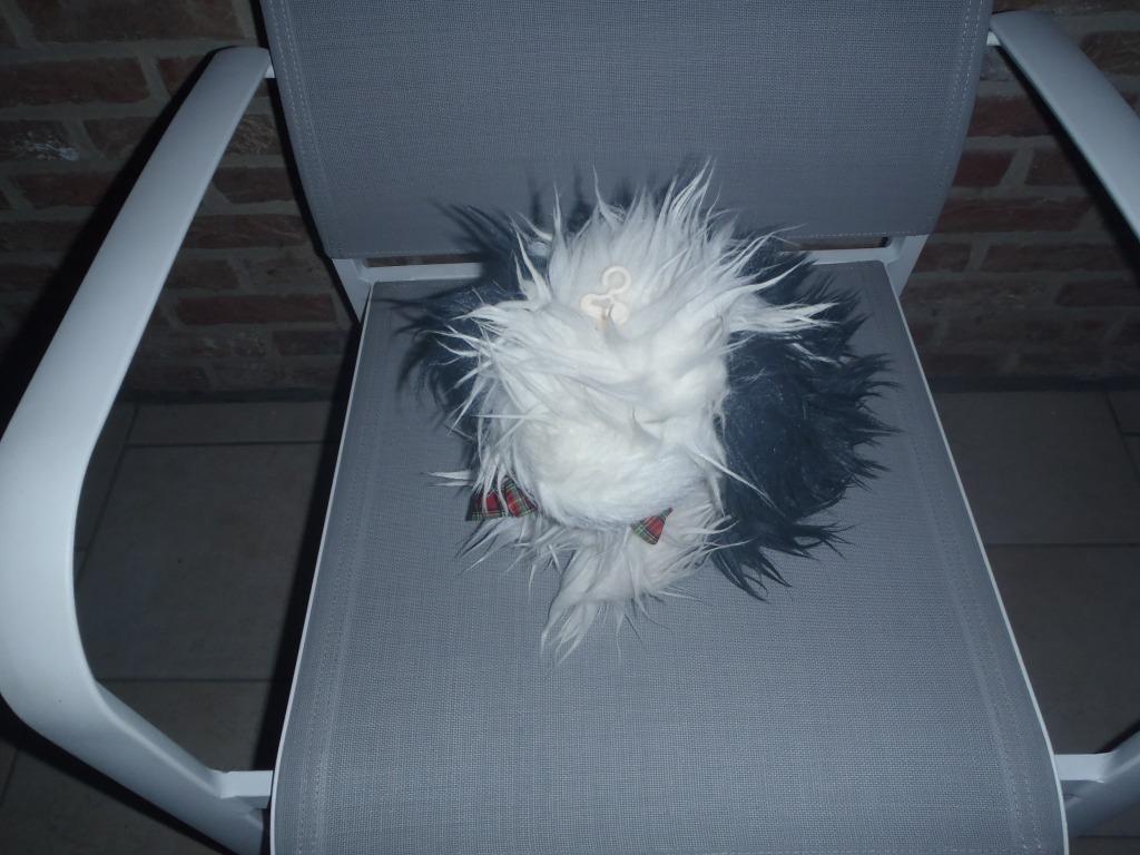 peluche chien Dandee, Enlèvement ou Envoi, Comme neuf, Chien