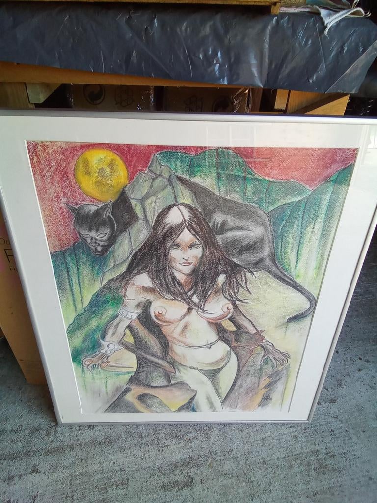Schilderij  mooi ingelijst  72/62 kader inbegrepen, Enlèvement