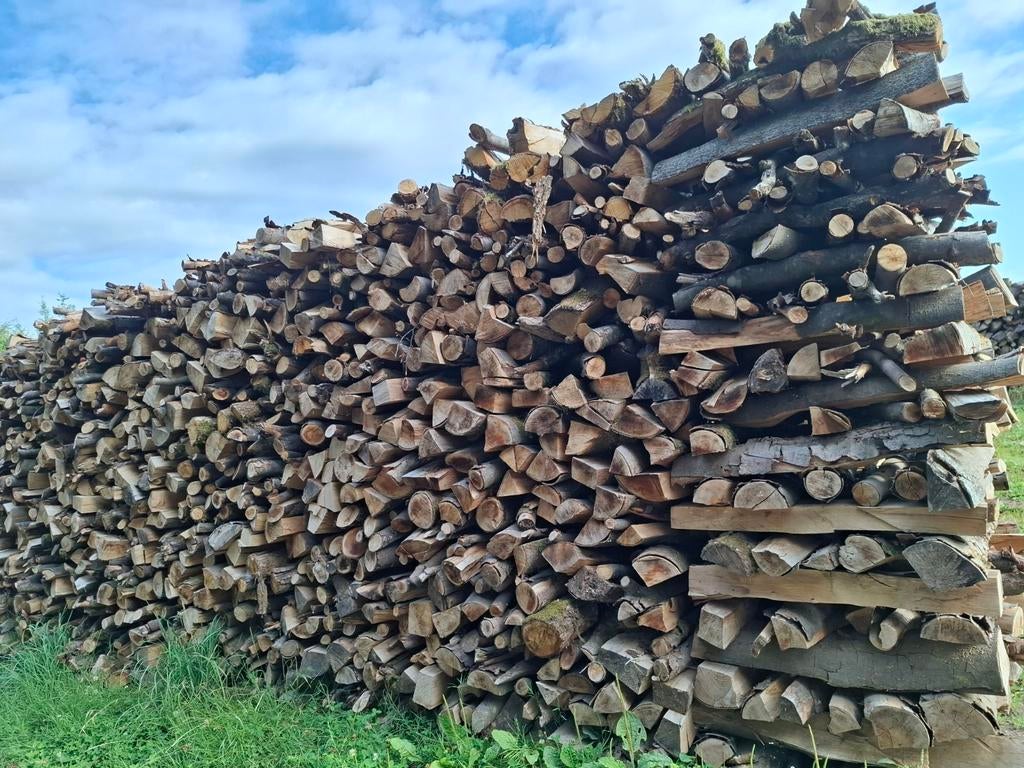 A vendre bois de chauffage, Beukenhout