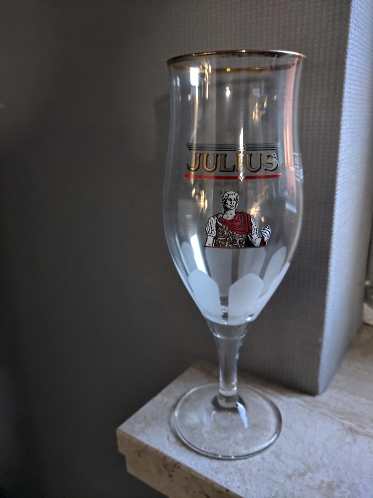 7 GLAZEN JULIUS 33 CL TE KOOP, Verzamelen, Ophalen of Verzenden, Zo goed als nieuw, Bierglas