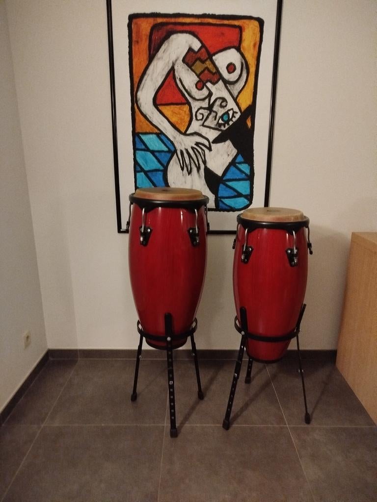 Conga. Set van 2 conga' s. Professioneel muziekinstrument., Muziek en Instrumenten, Ophalen, Zo goed als nieuw