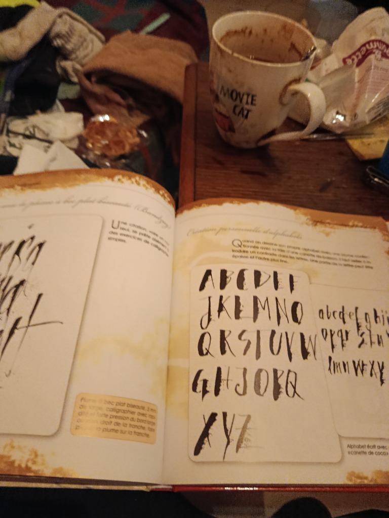 Livre sur la calligraphie, Enlèvement, Comme neuf