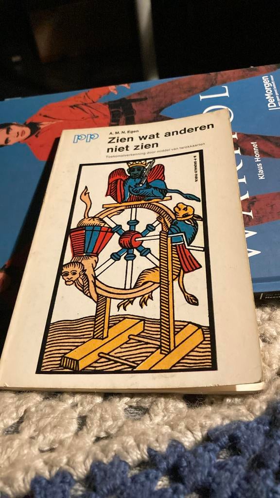 Zien wat anderen niet zien - A.M.N. Egen, Boeken, Ophalen of Verzenden, Zo goed als nieuw