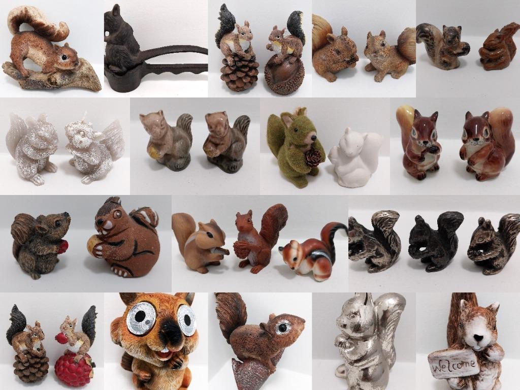 Collection Écureuil, Enlèvement ou Envoi, Comme neuf, Animal