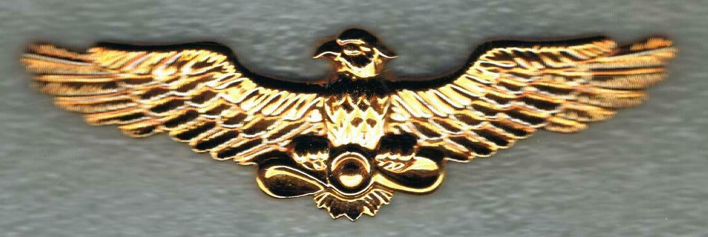 Ukrainian Air Force Kepie insigne ( A3 ), Ophalen of Verzenden, Luchtmacht, Embleem of Badge