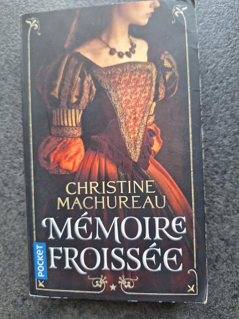 Mémoire froissée - Christine Machureau, Boeken, Historische romans, Ophalen of Verzenden, Gelezen, Christine Machureau