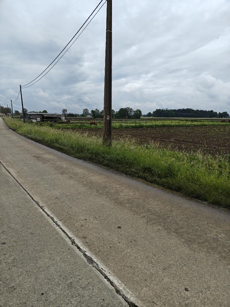 Landbouwgrond op uitstekende locatie, Ventes sans courtier, 1500 m² ou plus