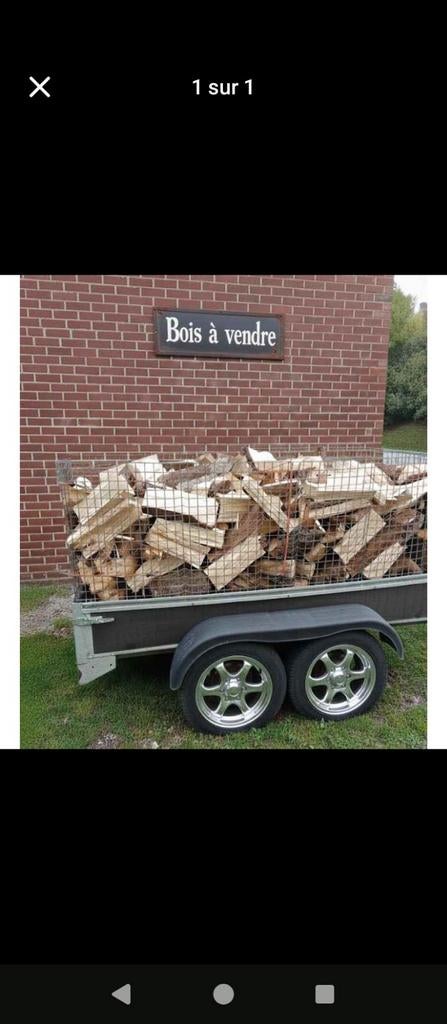 Bois sec fendu et livré (tendre ou dur), Hêtre