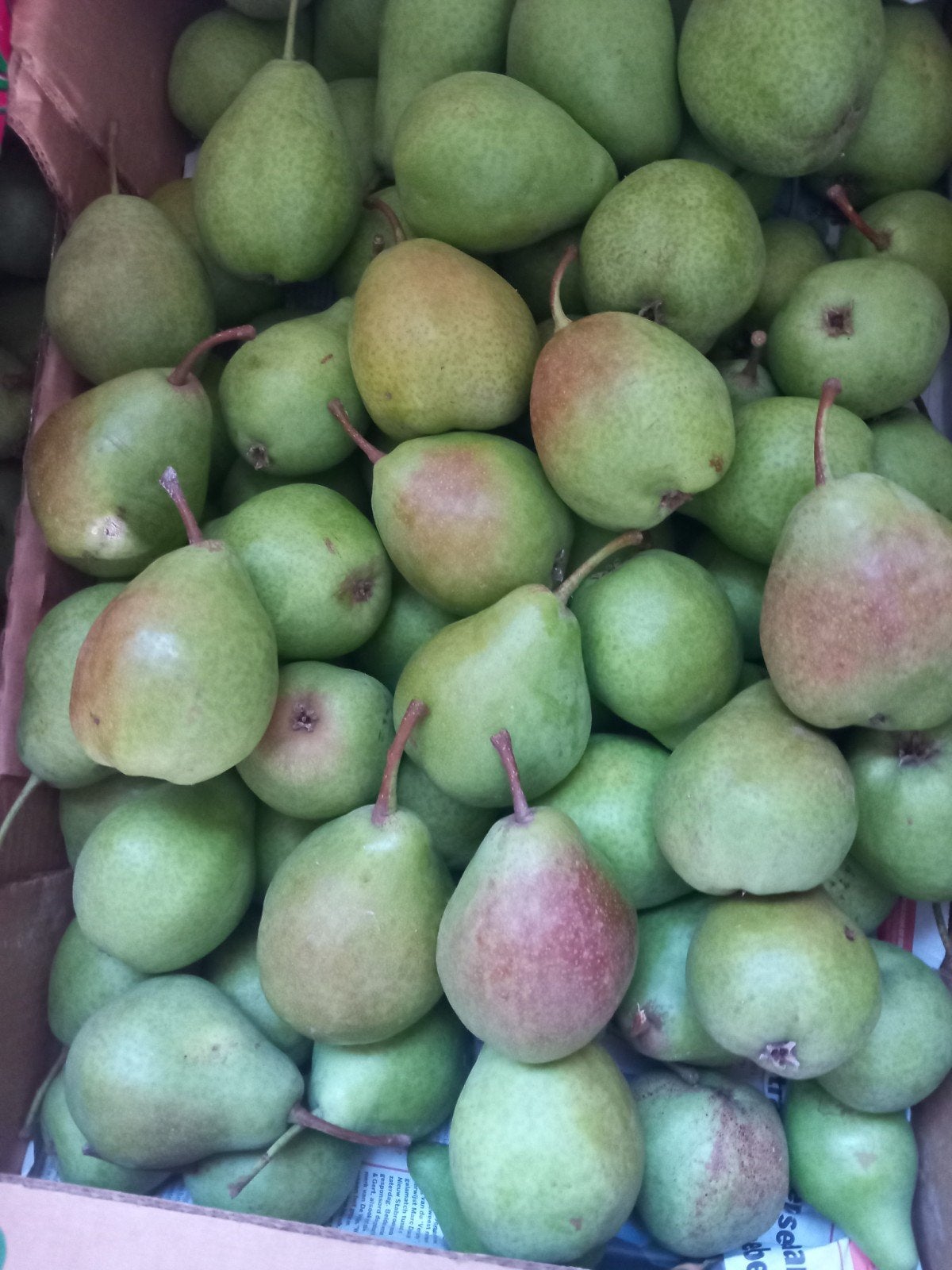 peren, Enlèvement