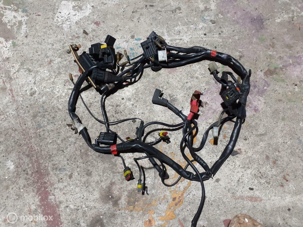 Kabelboom draadboom Monster 600 750 900 carburateur, Enlèvement ou Envoi, Utilisé
