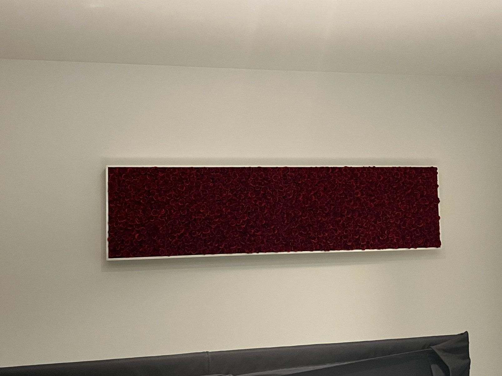 Kader met rode rozen, Rouge, Moderne, Tableau, Comme neuf