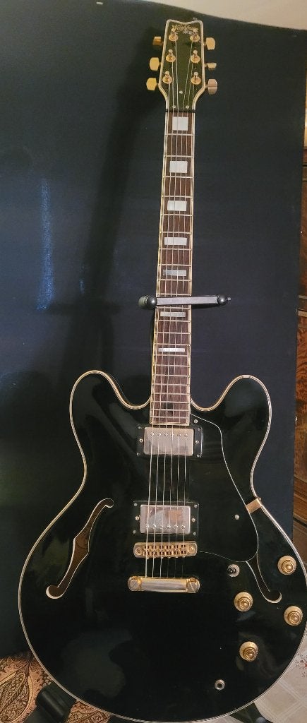 Guitare électrique Washburn  HB-35, Enlèvement