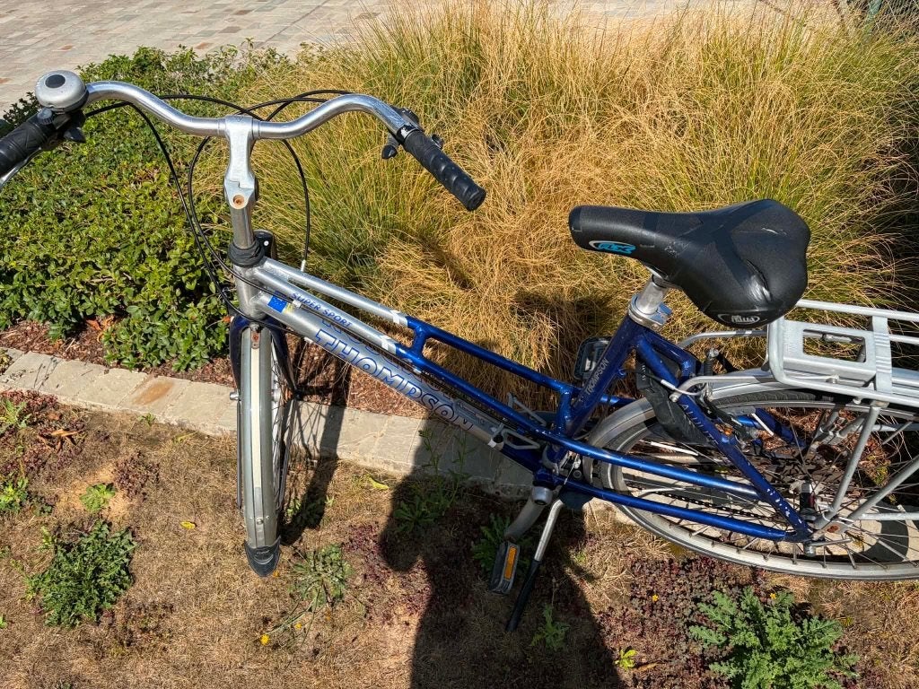 Damesfiets, Enlèvement, Utilisé, Autres marques
