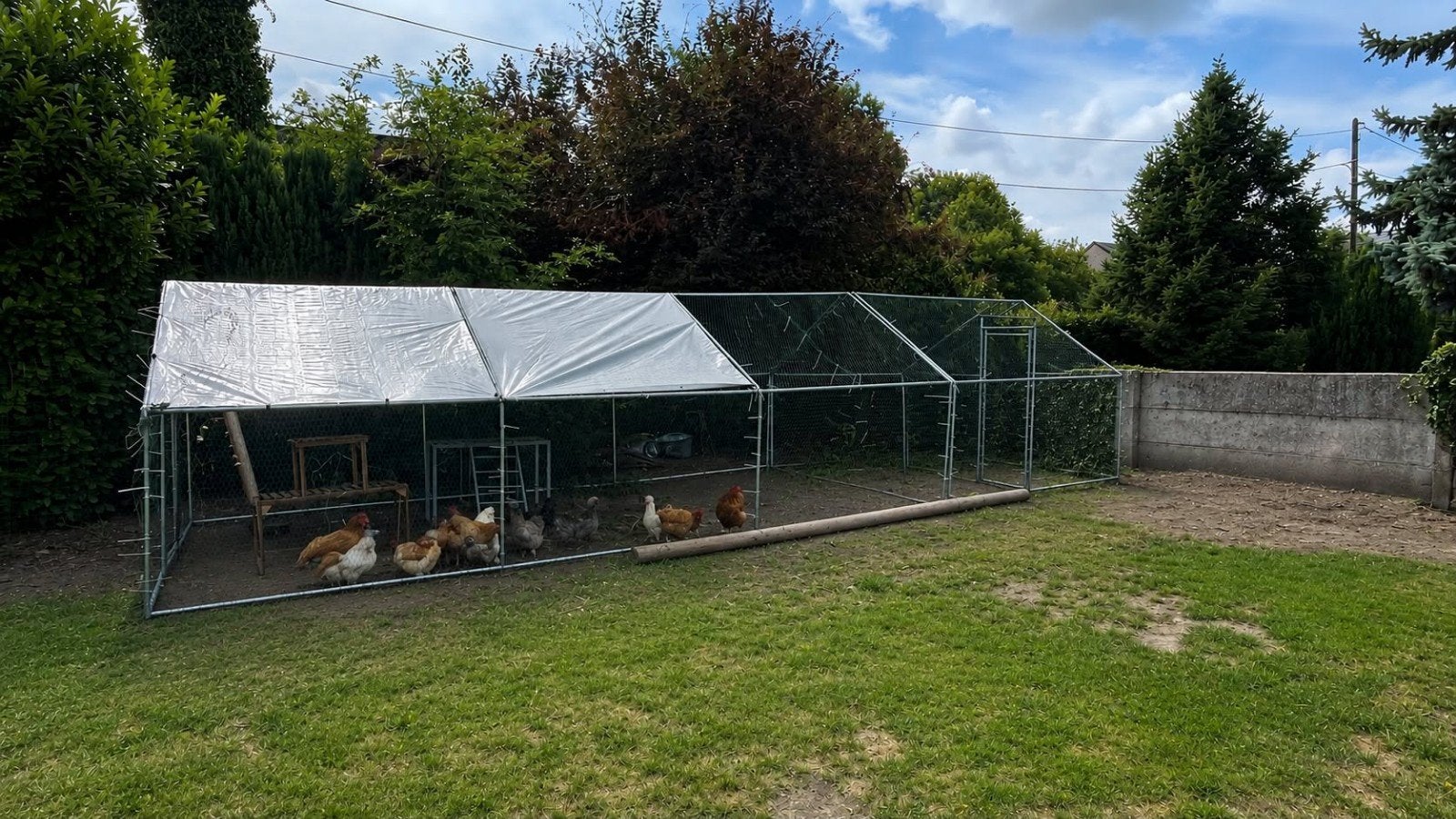 enclos a poule, Animaux & Accessoires, Enlèvement